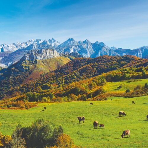Asturias contará con ayudas para apoyar a ganaderos y agricultores frente a la sequía