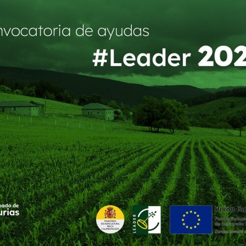 Convocadas las ayudas del programa Leader 2024 para impulsar proyectos que creen riqueza en el medio rural