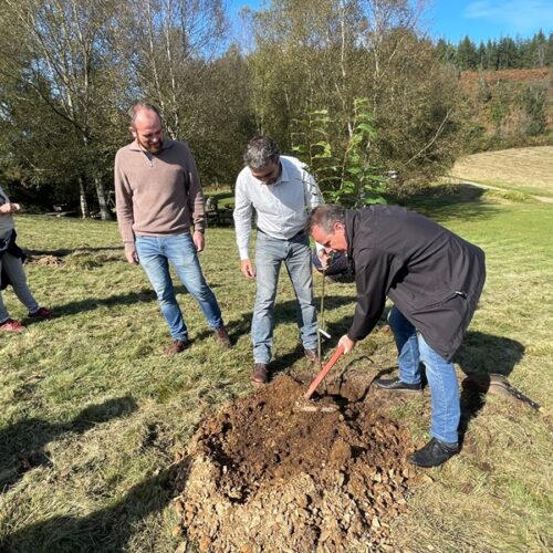 Medio Rural impulsará la digitalización de los montes asturianos de uso público