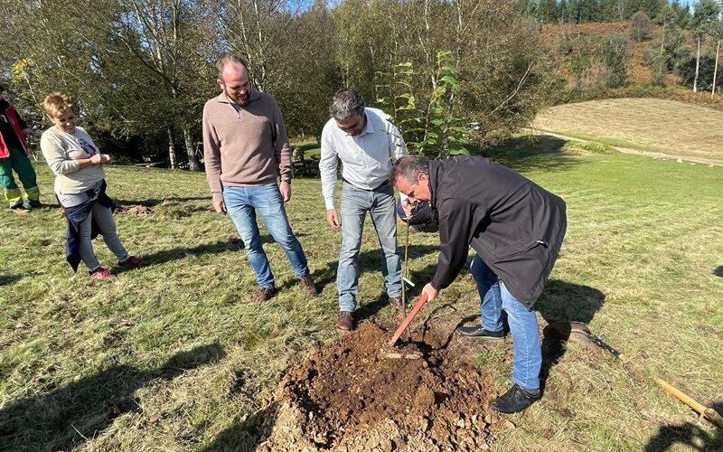 Medio Rural impulsará la digitalización de los montes asturianos de uso público
