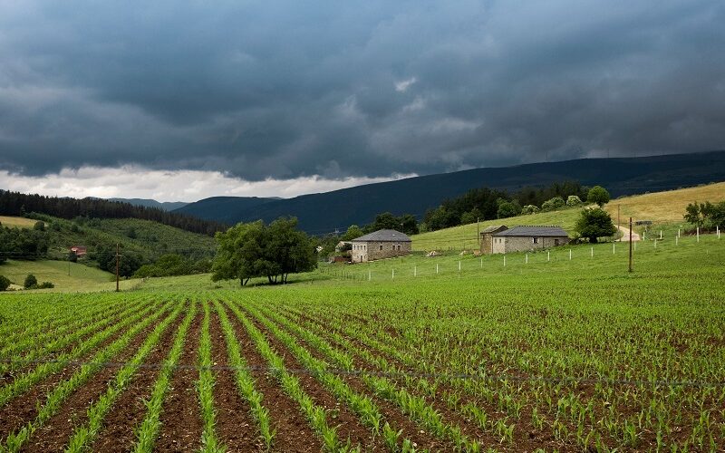 Las ayudas del plan ‘Incorpórate al agro’ se abren por primera vez a los mayores de 40 años