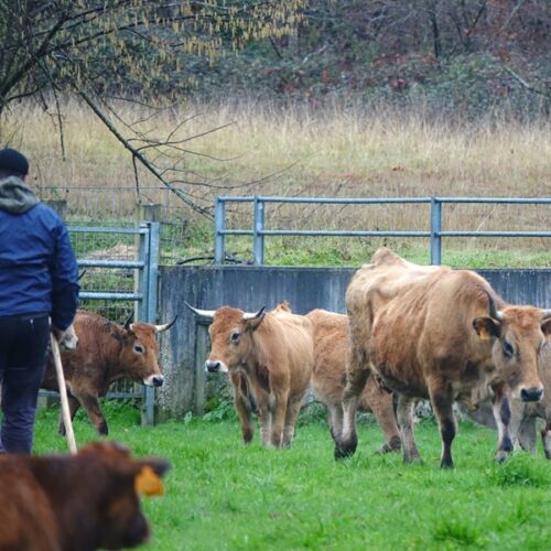 El plan ‘Incorpórate al Agro’ distribuye 10 millones de euros entre 151 personas