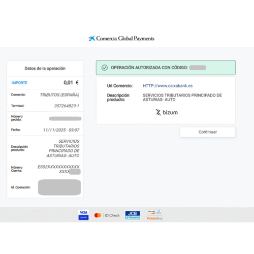 Servicios Tributarios del Principado de Asturias permite el pago telemático por Bizum