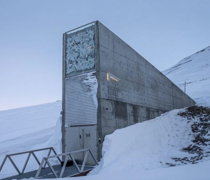 La Bóveda Global de Semillas de Svalbard, Premio Princesa de Asturias de Cooperación Internacional