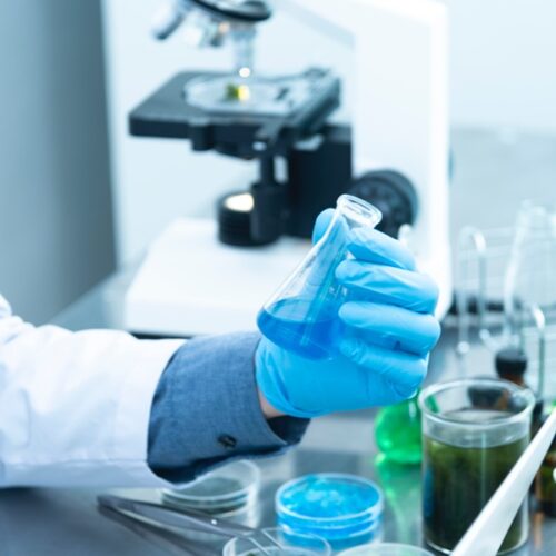 El programa ‘Severo Ochoa’ financia las estancias internacionales de 36 investigadores predoctorales