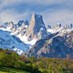 La Travesera Picos de Europa, Somos la Ostra y el Festival de la Sidra de Navia, nuevas Fiestas de Interés Turístico