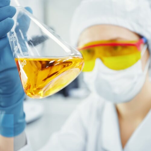 La XXX Reunión Bienal del Grupo Especializado de Química Orgánica (GEQOR 2026) reúne a más de 300 investigadores