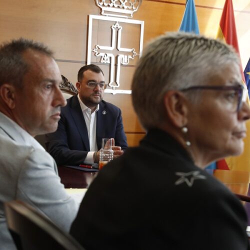 Destinados 9,9 millones de euros a las ayudas Leader dirigidas a entidades locales asturianas