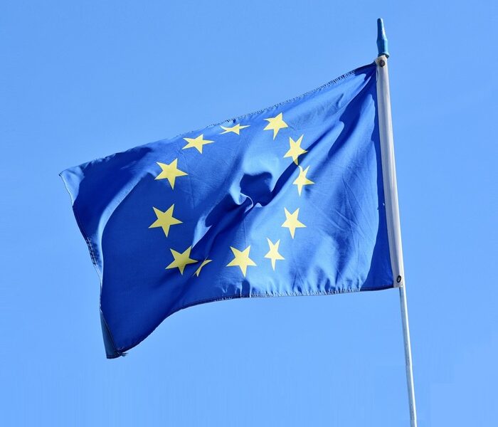 Asturias se incorpora al Consejo de la Red Social Europea